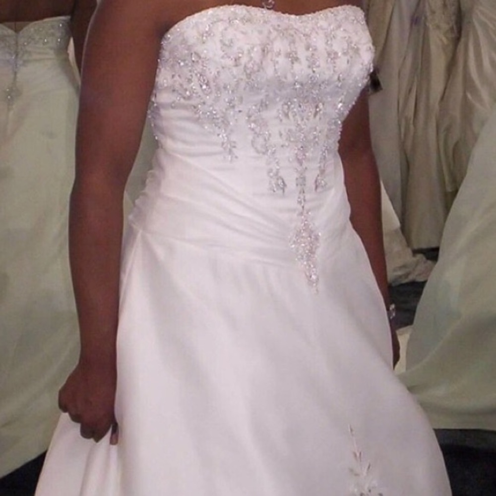 PRESERVED Wedding dress